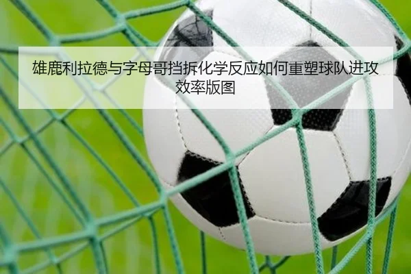 雄鹿利拉德与字母哥挡拆化学反应如何重塑球队进攻效率版图